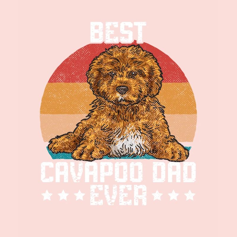 Cavapoo Cavoodle Capoodle Chien