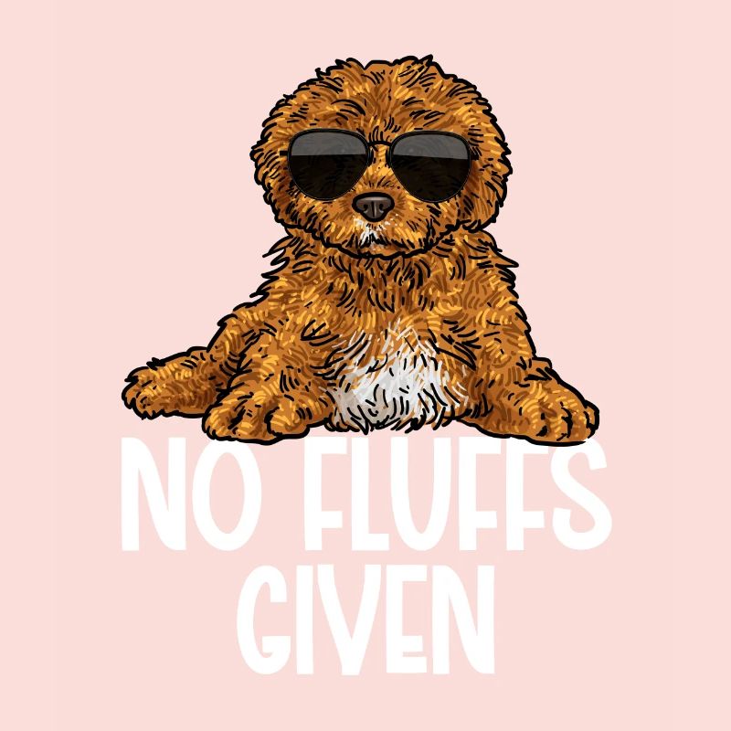 Cavapoo Cavoodle Capoodle Chien