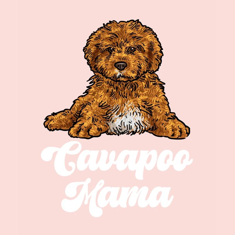 Cavapoo Cavoodle Capoodle Chien
