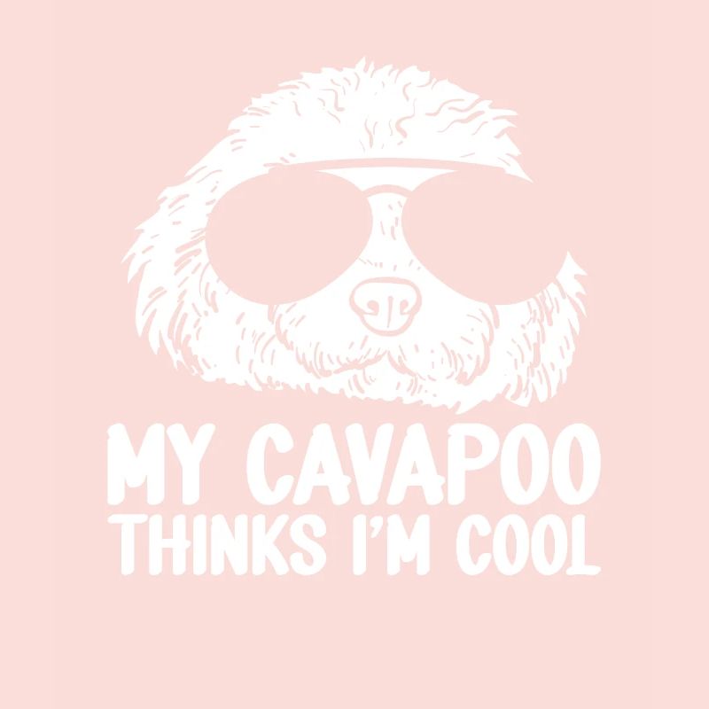 Cavapoo Cavoodle Capoodle Dog
