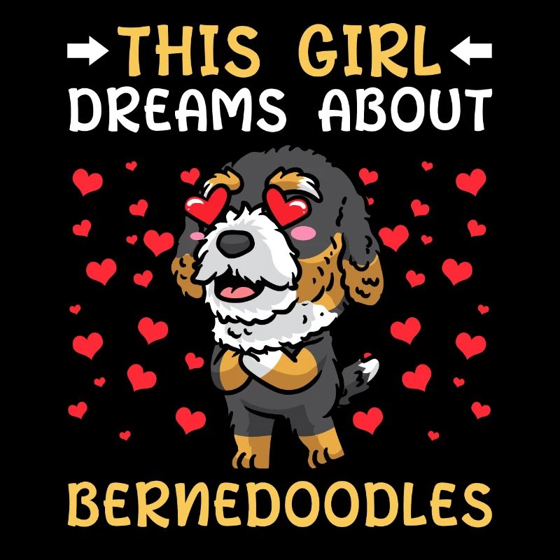 Bernedoodle Hund