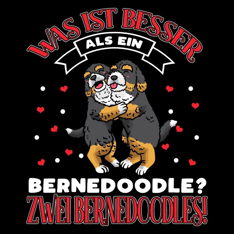 Bernedoodle Zwei Bernedoodles