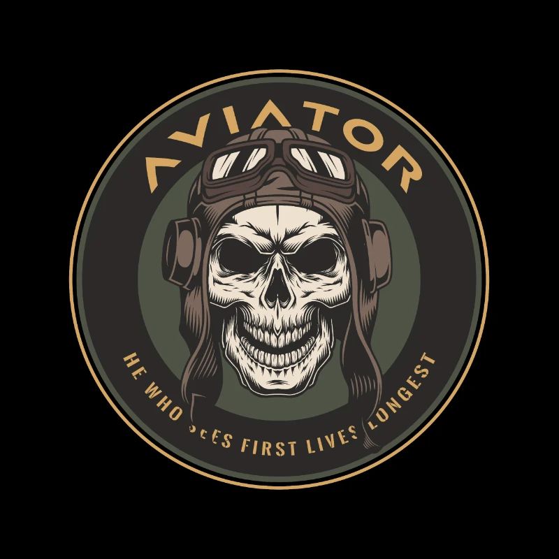 Aviator skull