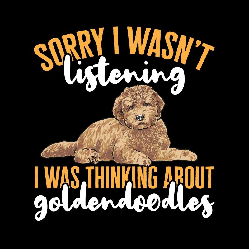 Goldendoodle Doodle Chien