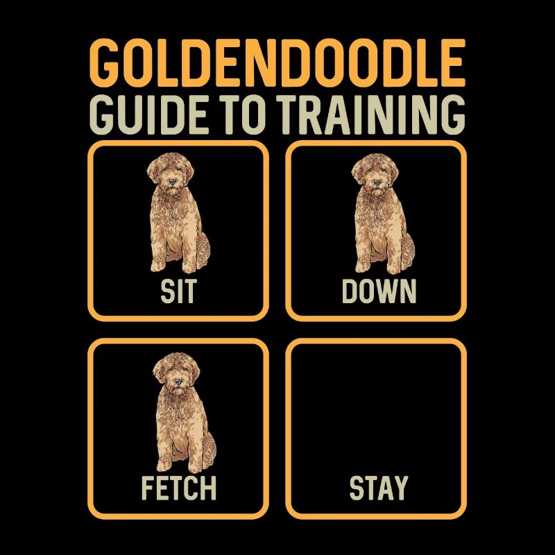 Goldendoodle Doodle Chien