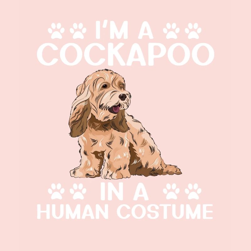 Cockapoo Chien