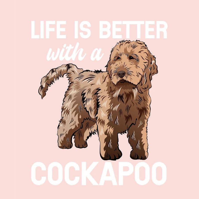 Cockapoo Chien