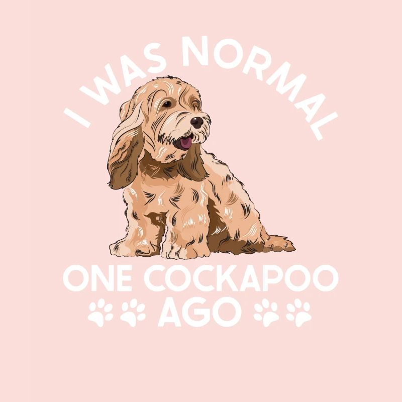 Cockapoo Chien
