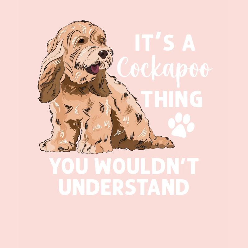 Cockapoo Hund