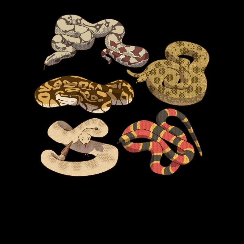 Cinq types différents de serpents