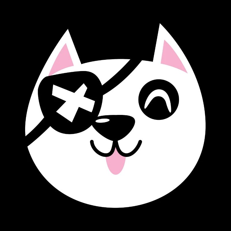Chat pirate