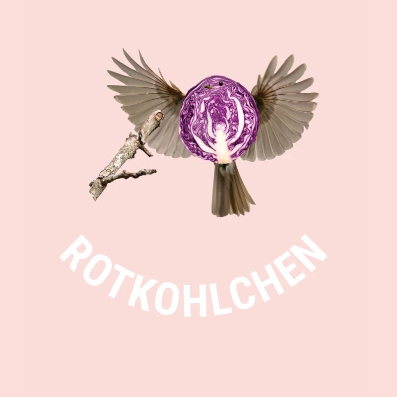Rotkohlchen Meme Vogel Rotkelhlchen