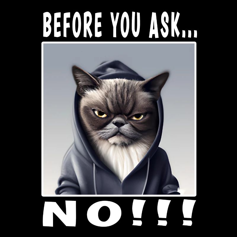 Before you ask no