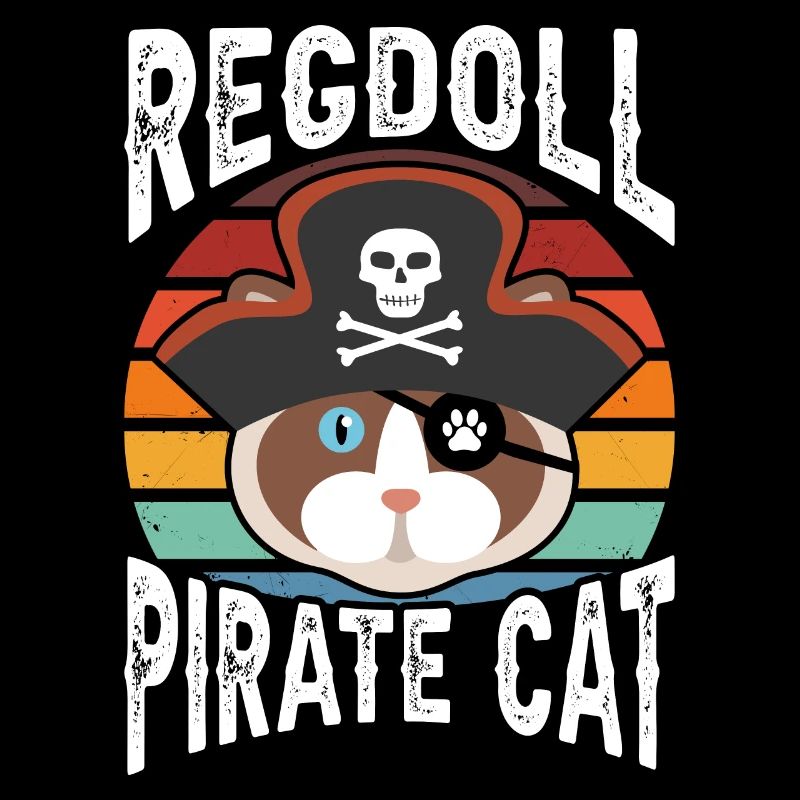 Regdoll pirate cat