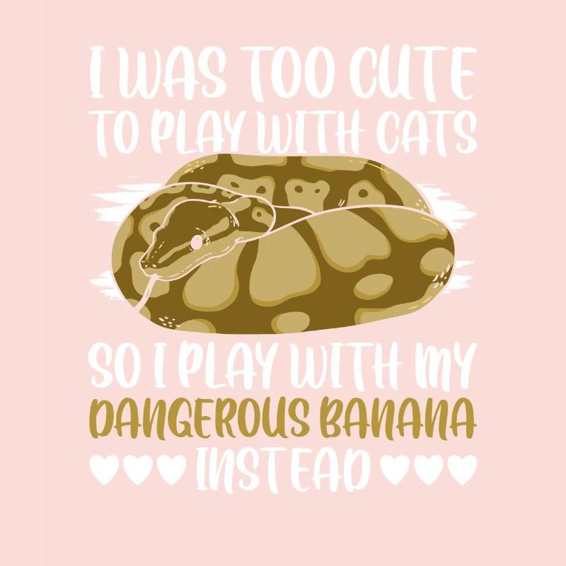 Dangerous Banana Königspython Banana Ball Python