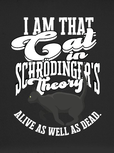 Schrodingers Katzentheorie Quantenphysik