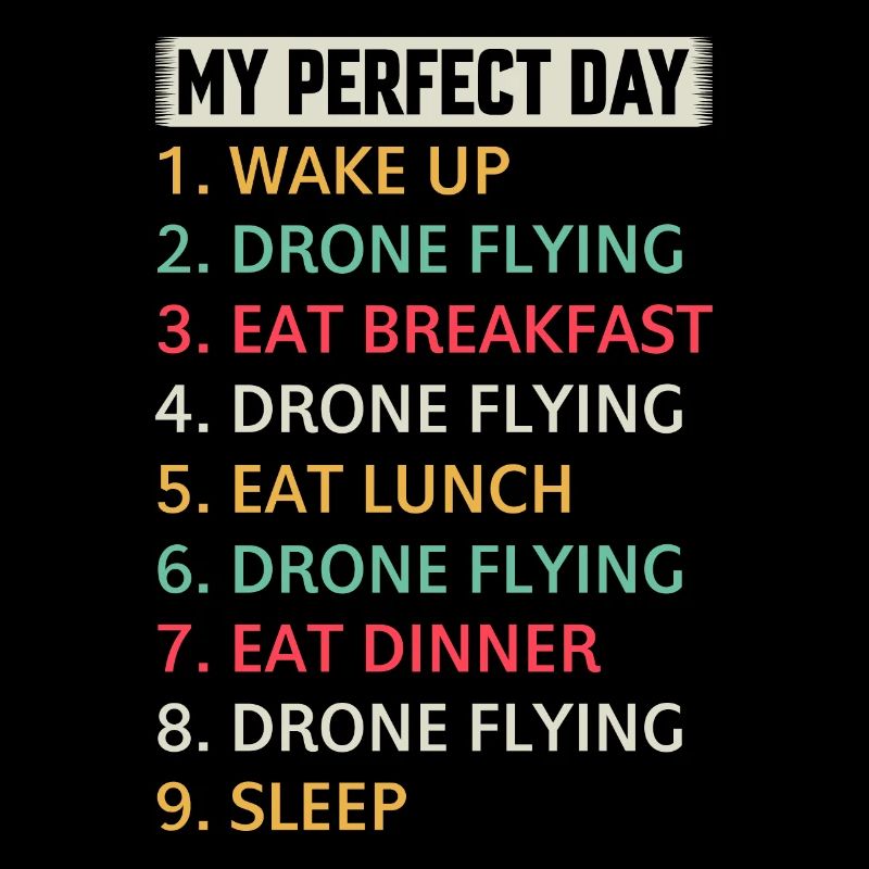 Quadcopter Drone Pilot - My Perfect Day Drone Flyi