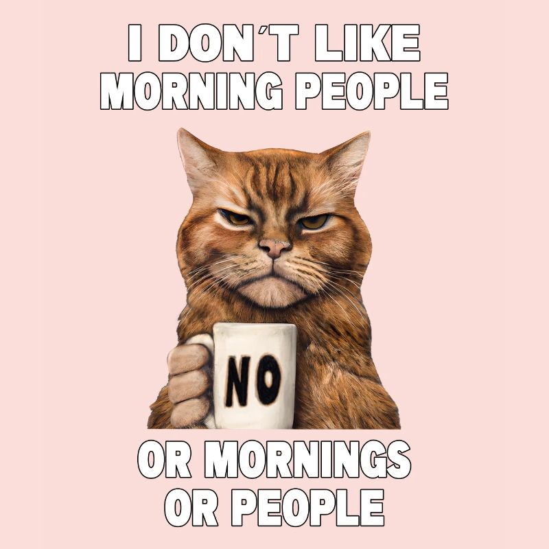 Dont like morning people Grumpy Funny Cat