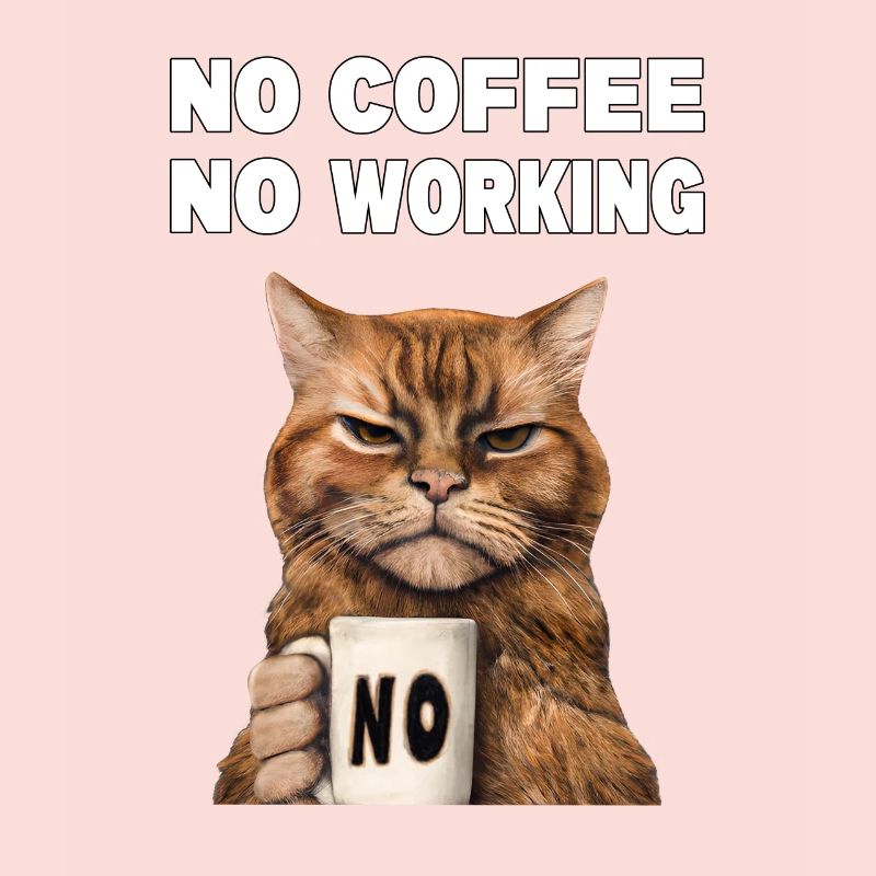 no coffee no working. Grumpy Funny Cat