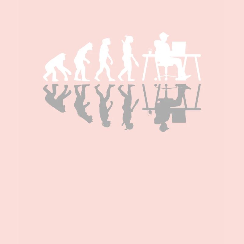Evolution Funny Programmeur Développeur de logiciels