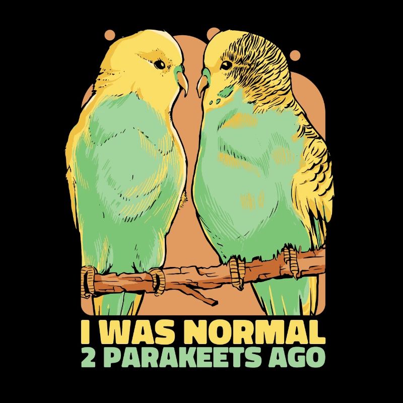 Perruche Budgerigar Oiseau Animal