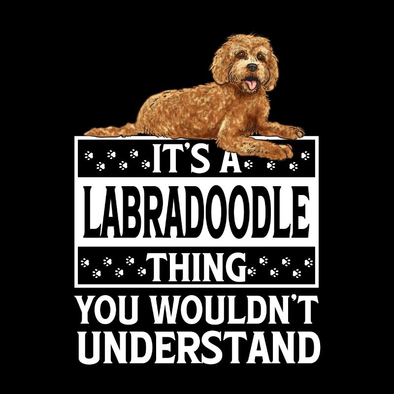 Labradoodle Dog