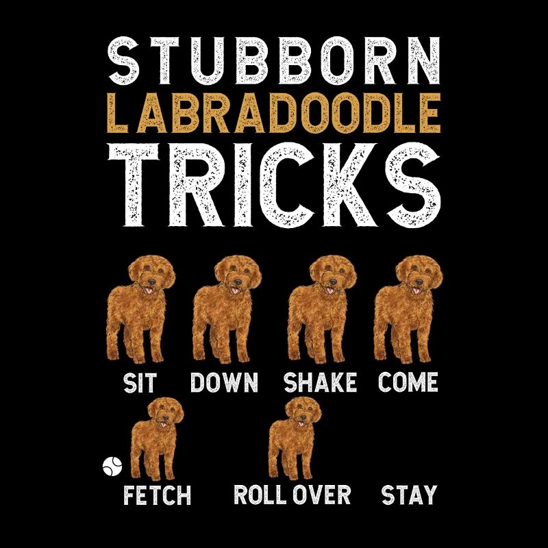 Labradoodle Hund