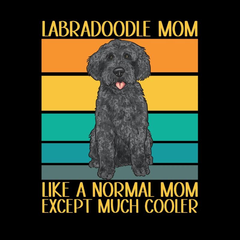 Labradoodle Hund