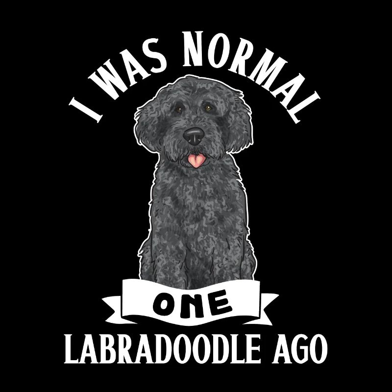 Labradoodle Hund
