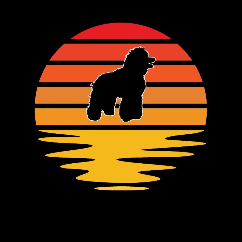 Caniche Rétro