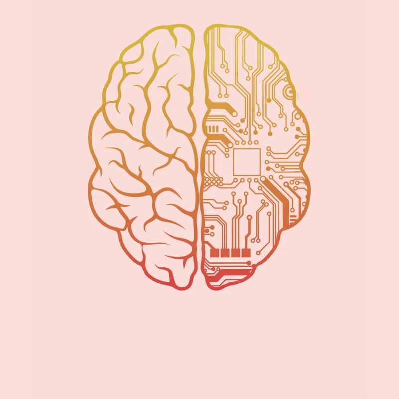 Programmeur HTML - Développeur Programmation Brain Cool