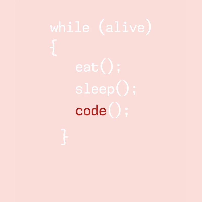 Administrateur Coding Geek Programmeur
