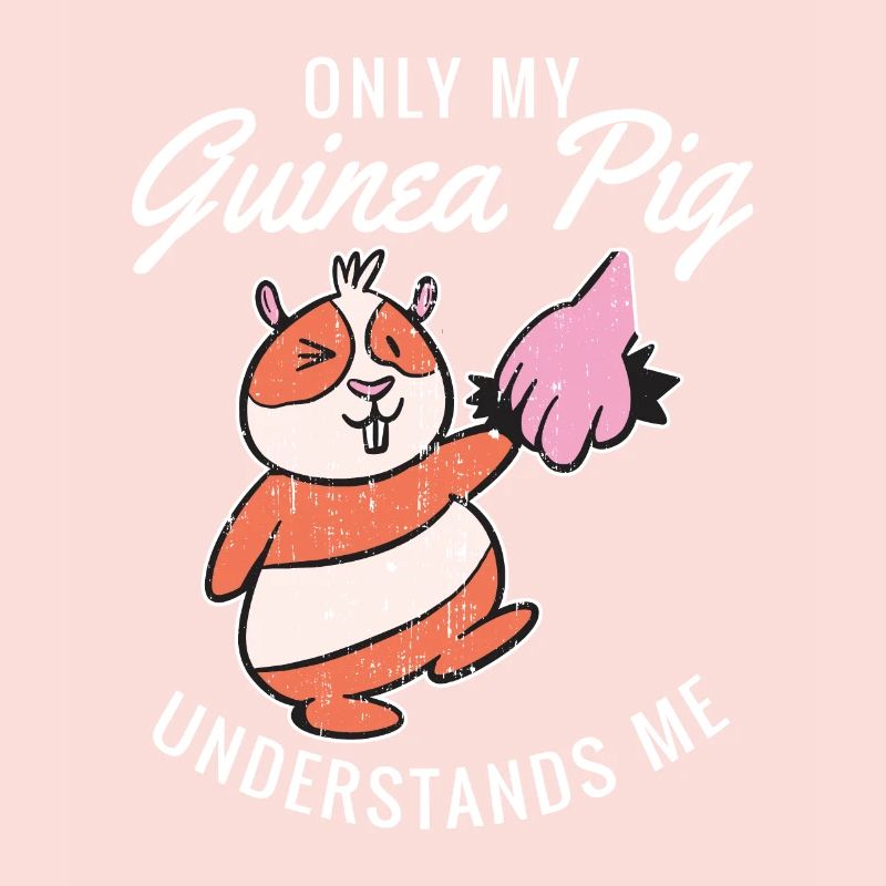 Cadeau mignon cochon d’Inde