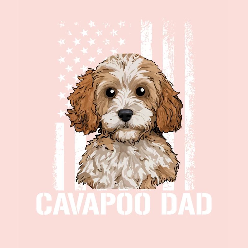 Cavapoo Dog, Cavapoo