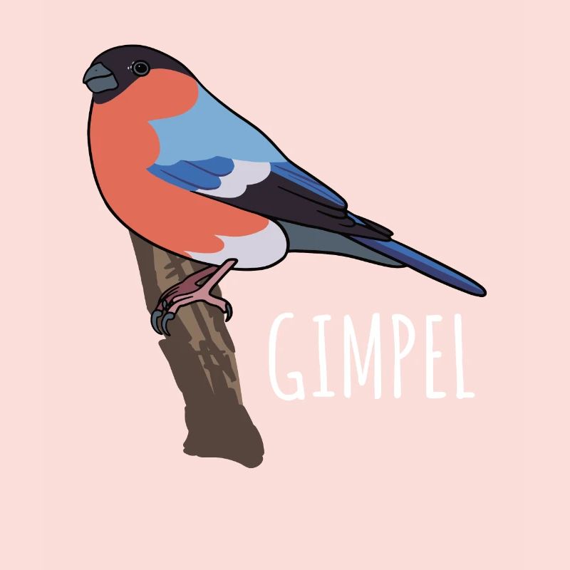 Dompfaff Gimpel Vogel Blutfink