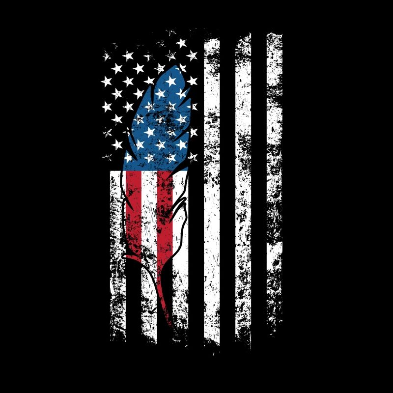 American Flag Native Tribe Feather Pride