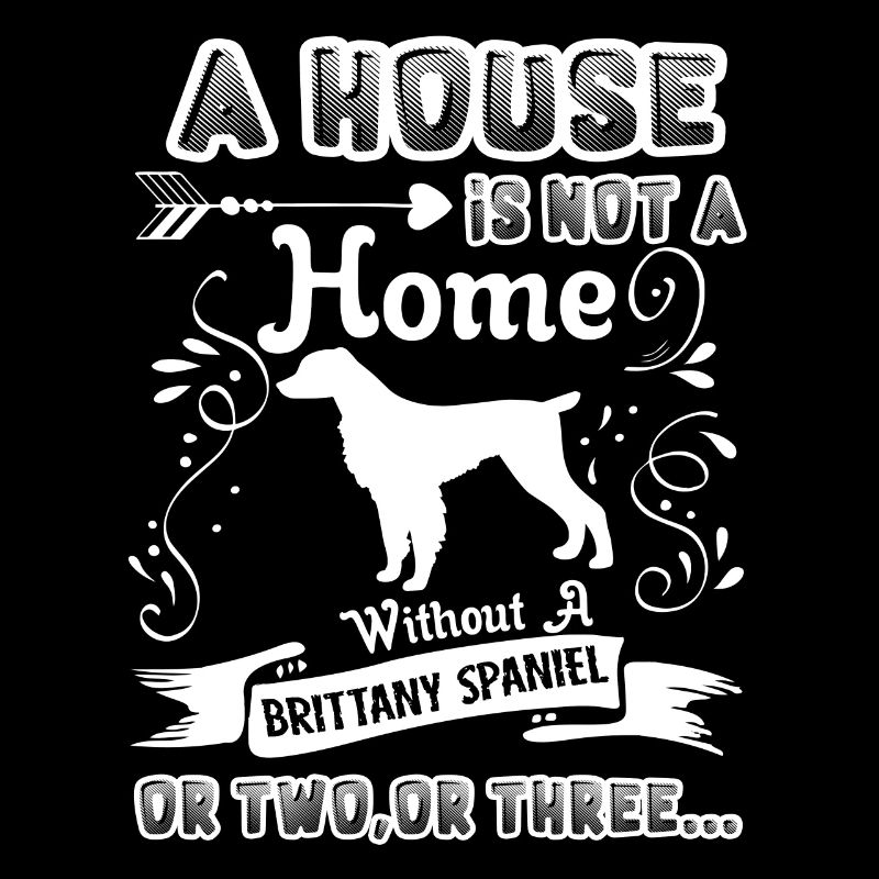 Brittany Spaniel Home Without Brittany Spaniel