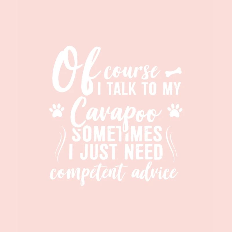 Of course I talk to my Cavapoo