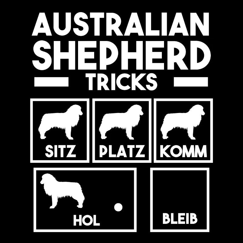 Hund Australian Shepherd