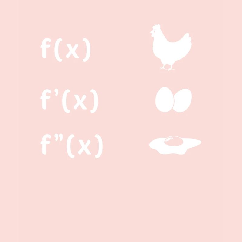 Derivative Function Chicken Egg Fried Egg Maths