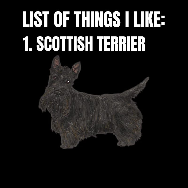 Scottish Terrier Scottie Hund