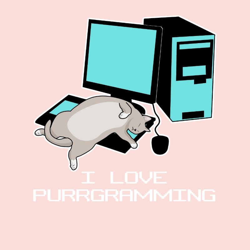 Programmierer Admin Computer Katze