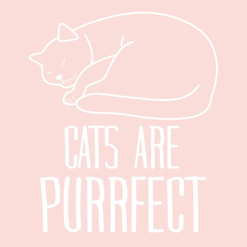 Sleeping Cat