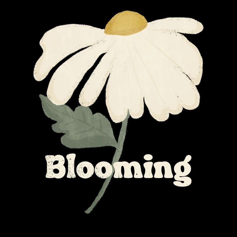 Floraison - Fleur de marguerite blanche