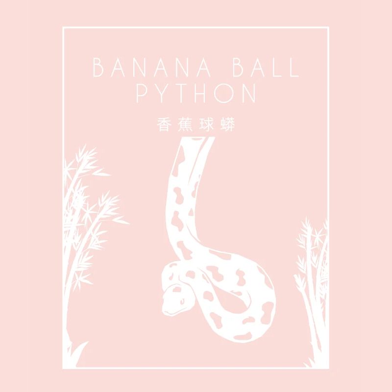 Boule de banane Python Hanzi Chinois Hanzi Snake Banane