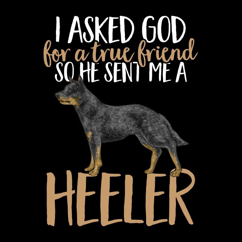 Bouvier australien Red Blue Heeler