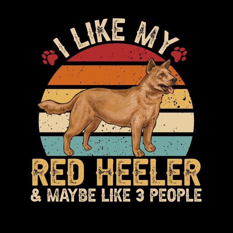 Bouvier australien Red Blue Heeler