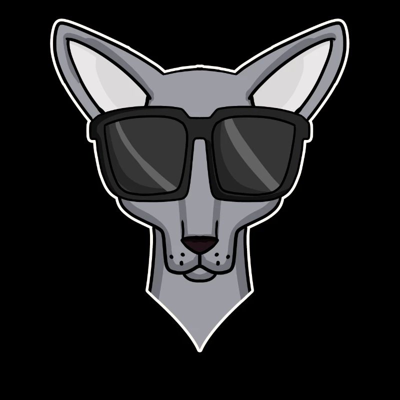 chat cool avec des lunettes de soleil - race de chat Sphynx