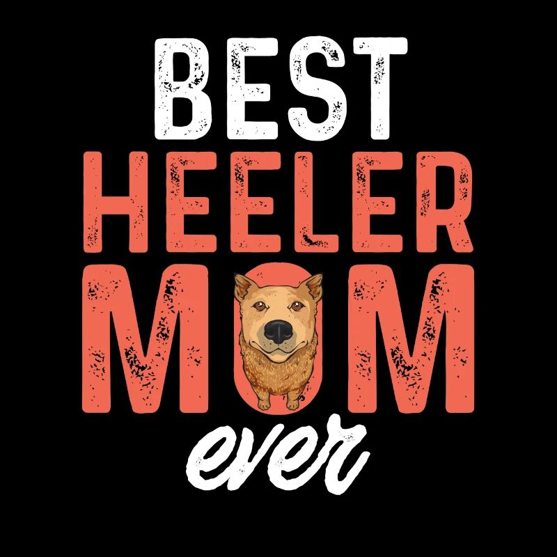 Bouvier australien Red Blue Heeler