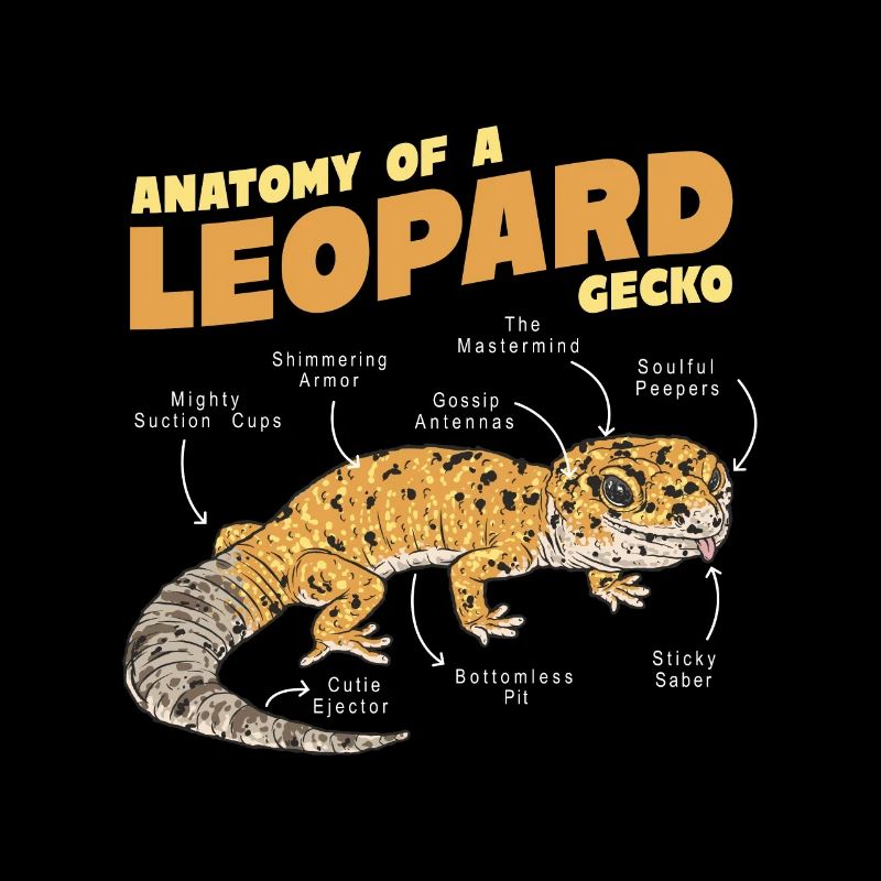 Leopard Gecko Lizard Lover